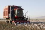 Case IH Cotton Express 420 2012 года